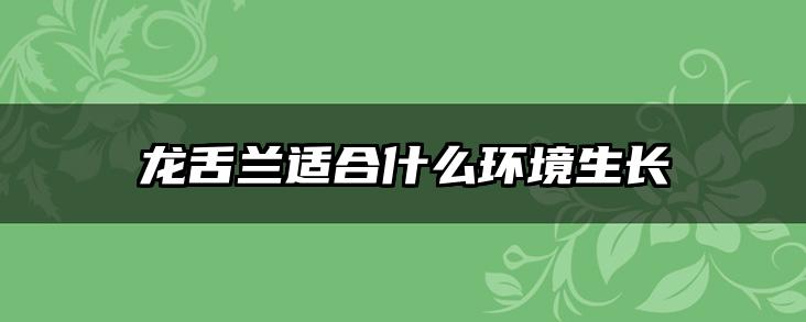 龙舌兰适合什么环境生长