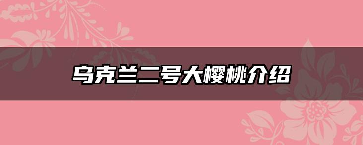 乌克兰二号大樱桃介绍