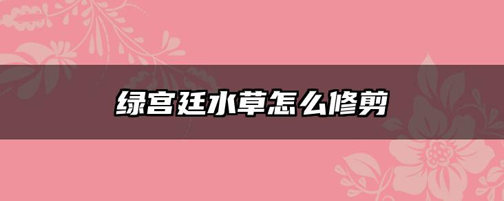 绿宫廷水草怎么修剪