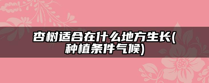 杏树适合在什么地方生长(种植条件气候)