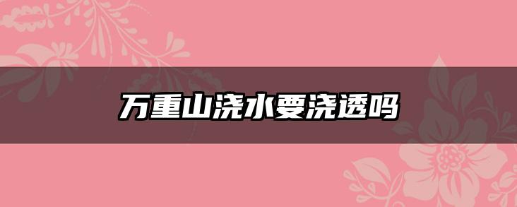万重山浇水要浇透吗
