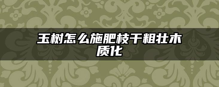 玉树怎么施肥枝干粗壮木质化