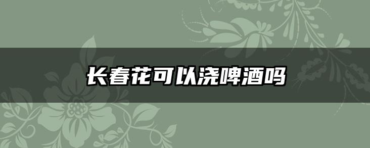 长春花可以浇啤酒吗