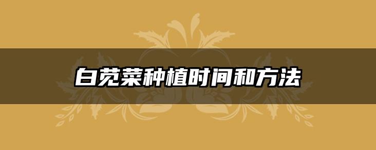 白苋菜种植时间和方法