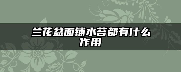 兰花盆面铺水苔都有什么作用