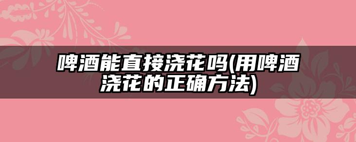 啤酒能直接浇花吗(用啤酒浇花的正确方法)