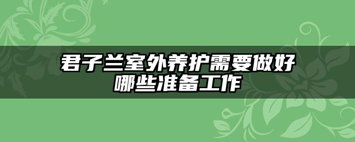 君子兰室外养护需要做好哪些准备工作