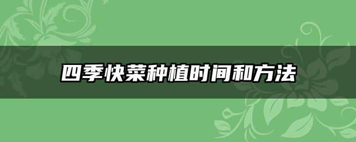四季快菜种植时间和方法