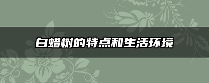 白蜡树的特点和生活环境