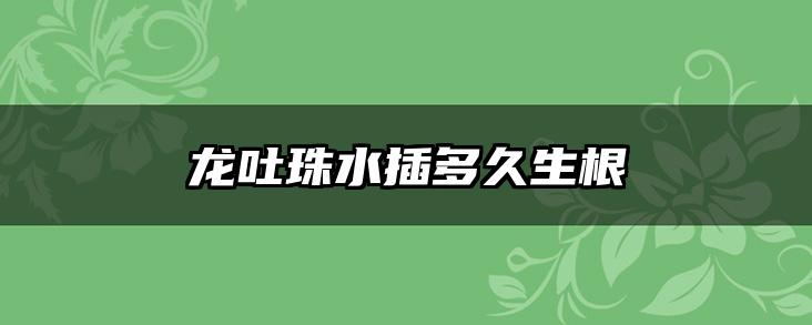 龙吐珠水插多久生根