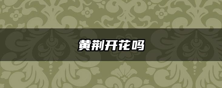 黄荆开花吗