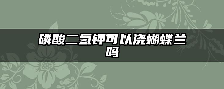 磷酸二氢钾可以浇蝴蝶兰吗