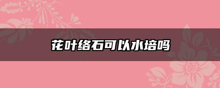花叶络石可以水培吗