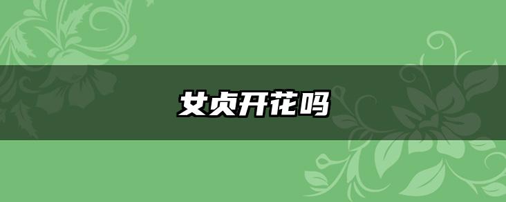 女贞开花吗