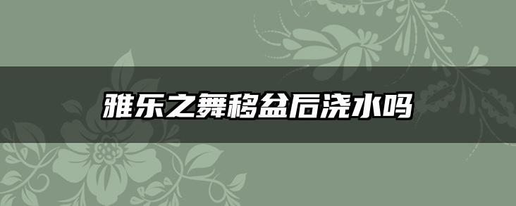 雅乐之舞移盆后浇水吗