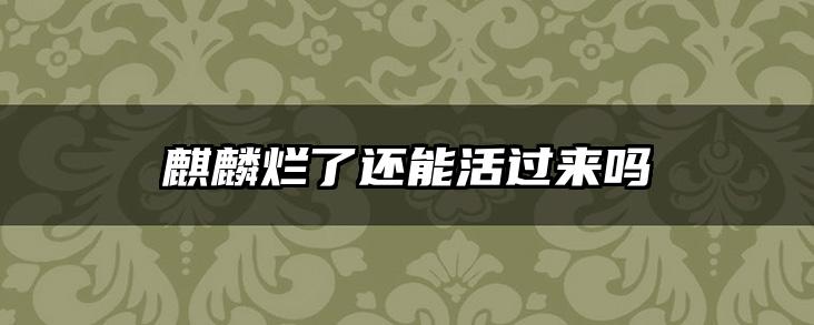 麒麟烂了还能活过来吗