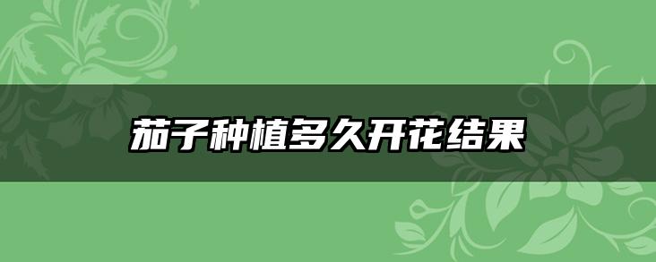 茄子种植多久开花结果