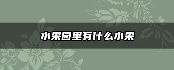 水果园里有什么水果