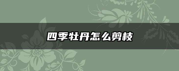 四季牡丹怎么剪枝
