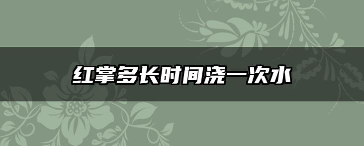 红掌多长时间浇一次水