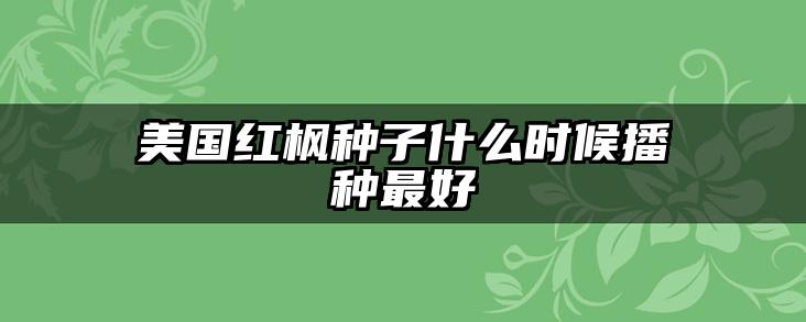 美国红枫种子什么时候播种最好