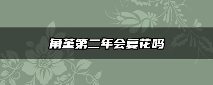 角堇第二年会复花吗