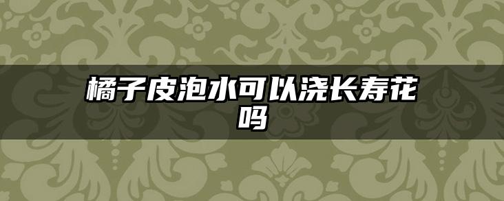 橘子皮泡水可以浇长寿花吗