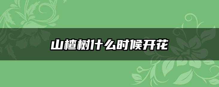 山楂树什么时候开花