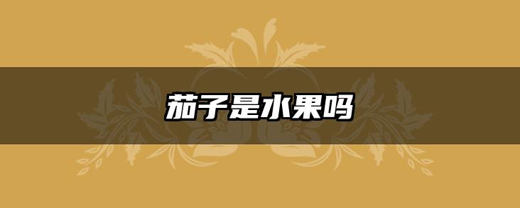 茄子是水果吗