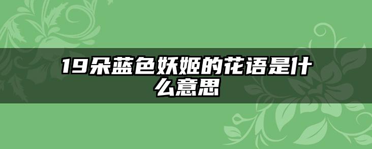19朵蓝色妖姬的花语是什么意思