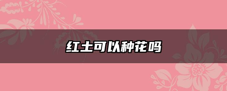 红土可以种花吗