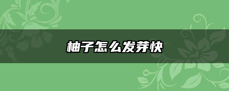 柚子怎么发芽快