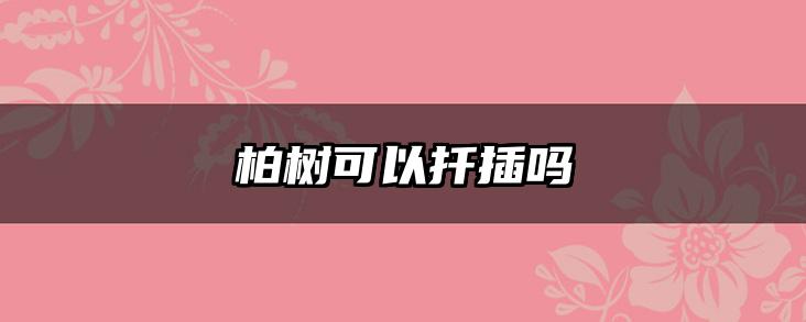 柏树可以扦插吗
