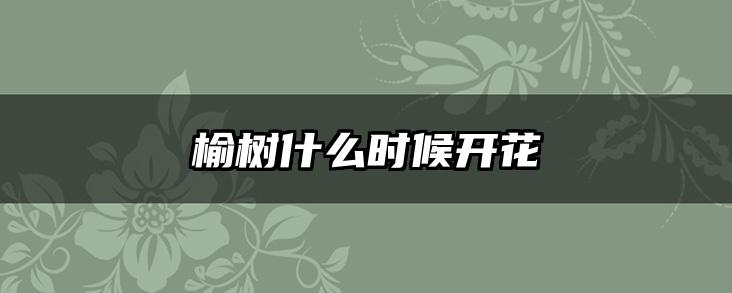 榆树什么时候开花