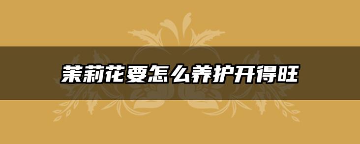 茉莉花要怎么养护开得旺