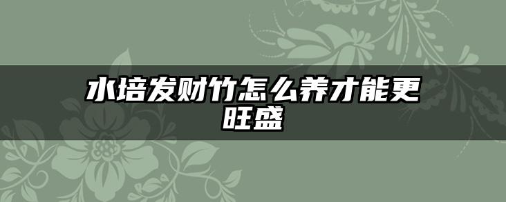 水培发财竹怎么养才能更旺盛