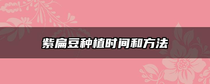 紫扁豆种植时间和方法