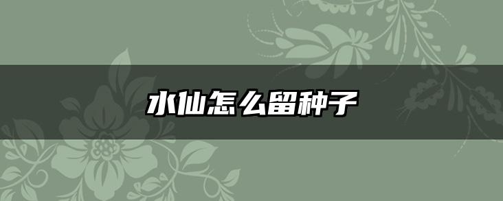 水仙怎么留种子