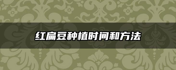 红扁豆种植时间和方法