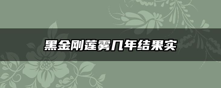 黑金刚莲雾几年结果实