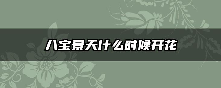 八宝景天什么时候开花
