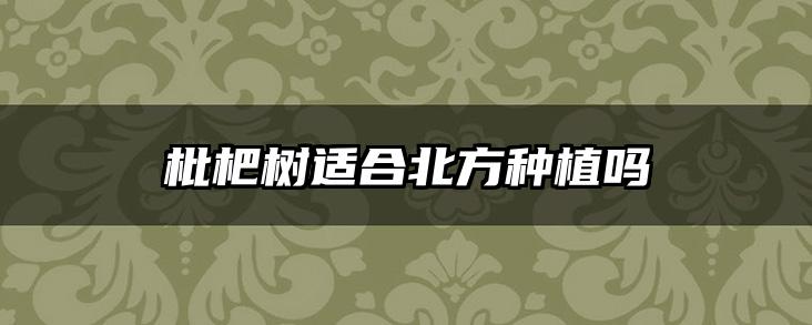 枇杷树适合北方种植吗