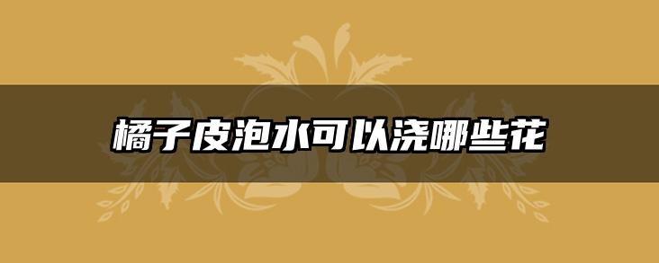 橘子皮泡水可以浇哪些花