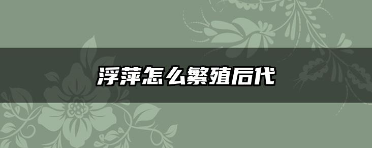 浮萍怎么繁殖后代