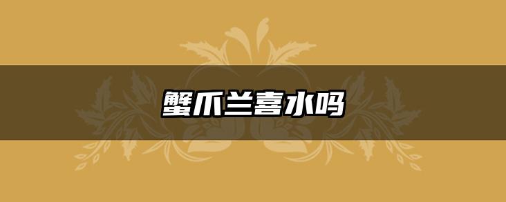 蟹爪兰喜水吗