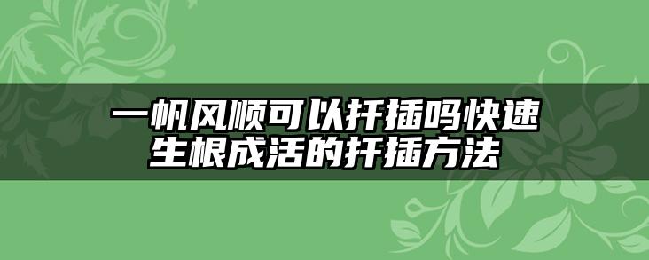 一帆风顺可以扦插吗快速生根成活的扦插方法