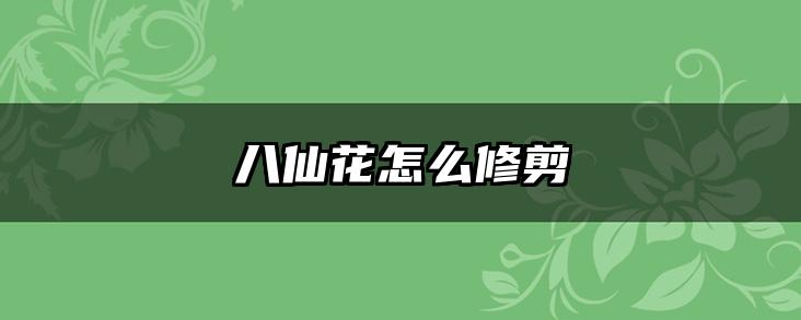 八仙花怎么修剪