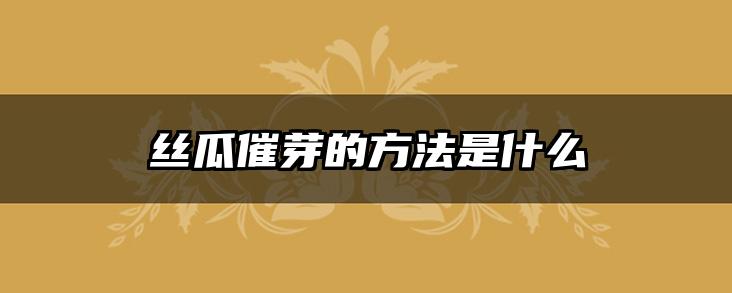 丝瓜催芽的方法是什么