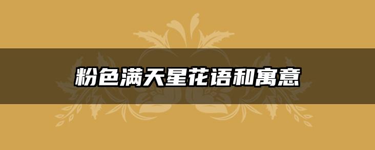 粉色满天星花语和寓意