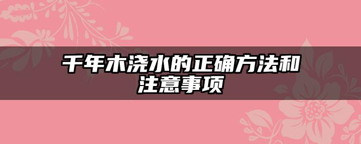 千年木浇水的正确方法和注意事项